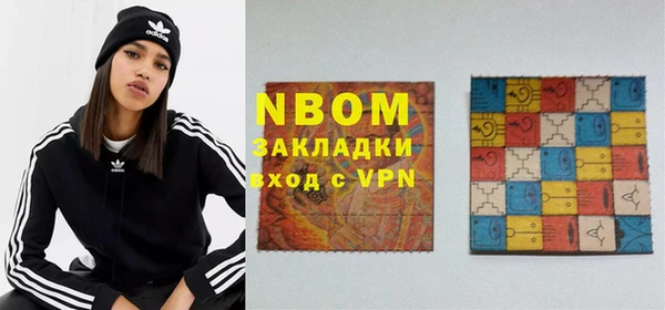 индика Новокубанск