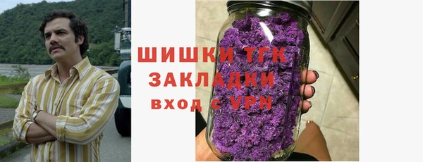 индика Новокубанск