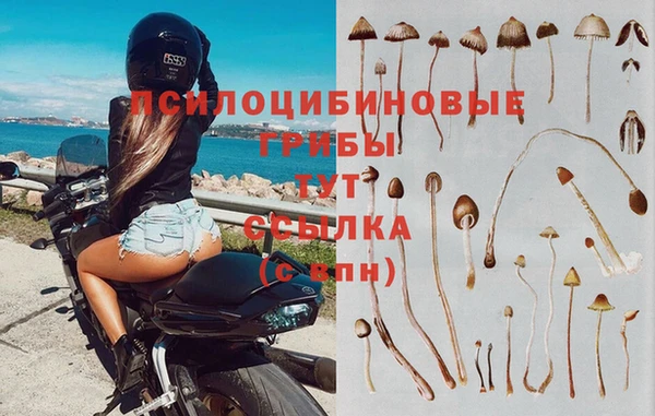 соль ск Новодвинск