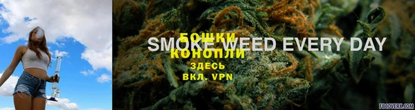mdma Новозыбков