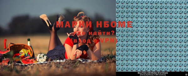 индика Новокубанск