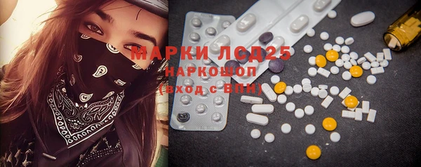 индика Новокубанск