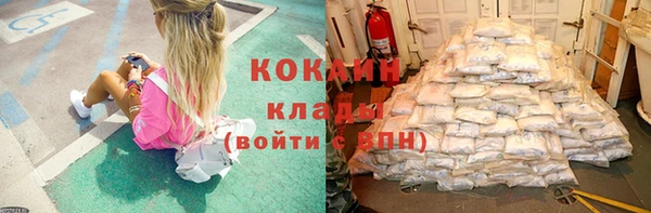 соль ск Новодвинск