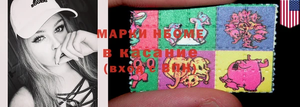 соль ск Новодвинск