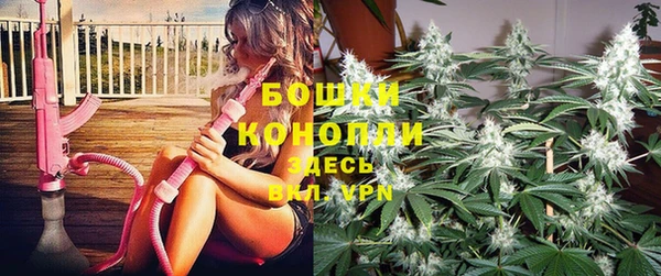 индика Новокубанск