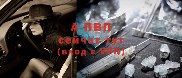 соль ск Новодвинск