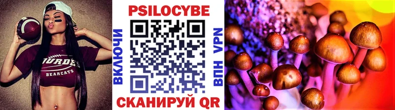 купить наркотик  Богучар  Галлюциногенные грибы Psilocybine cubensis 